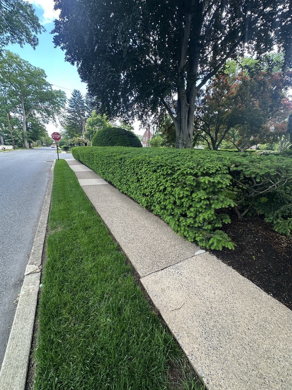 Healthy maintained lawn at a Central PA property with grazing ewes in the background, showing how lawn care fits into a real working landscape