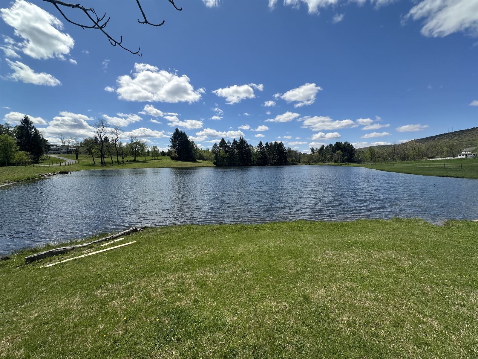 Healthy ornamental pond in Enola, PA after professional aquatic weed control and algae management treatment