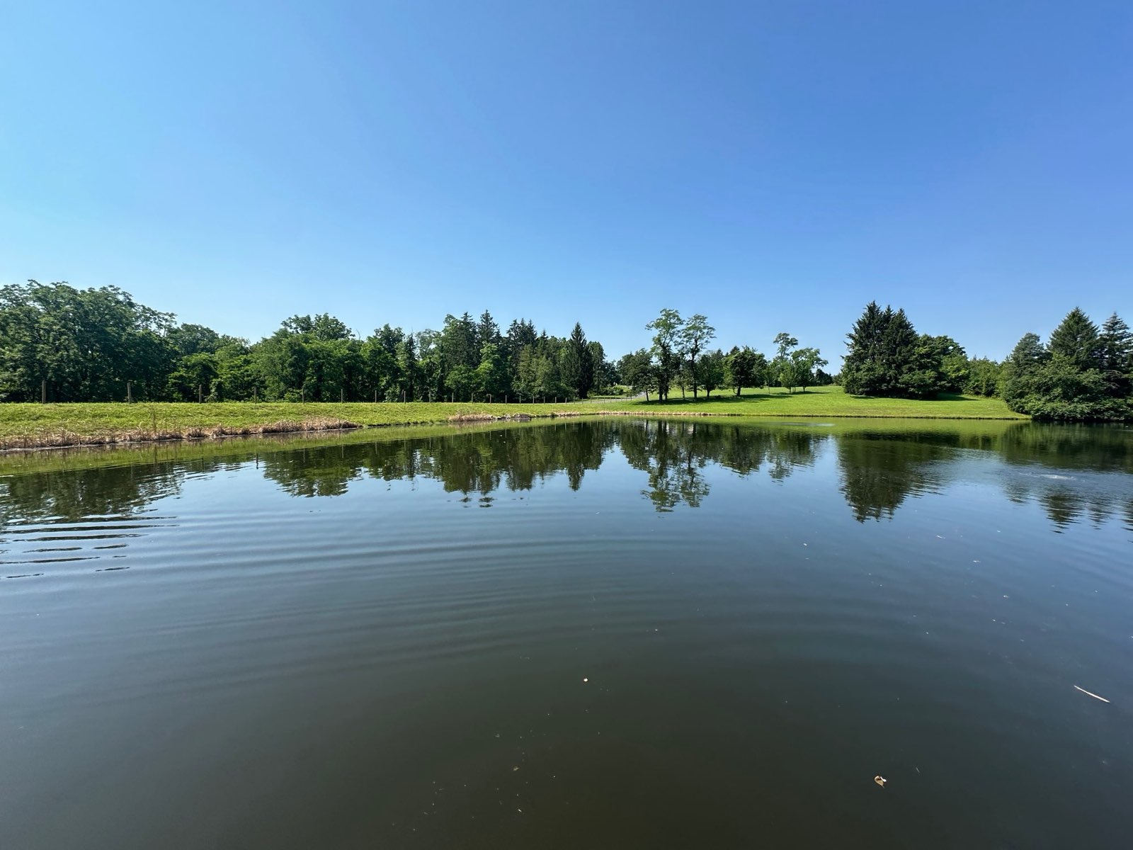 A clear, open pond on a calm day in Central PA