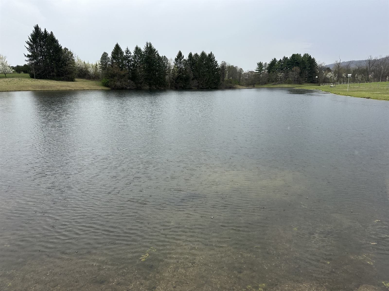 Clear, healthy pond water in Harrisburg, PA following staged pond restoration by Lawns Plants & Pests LLC