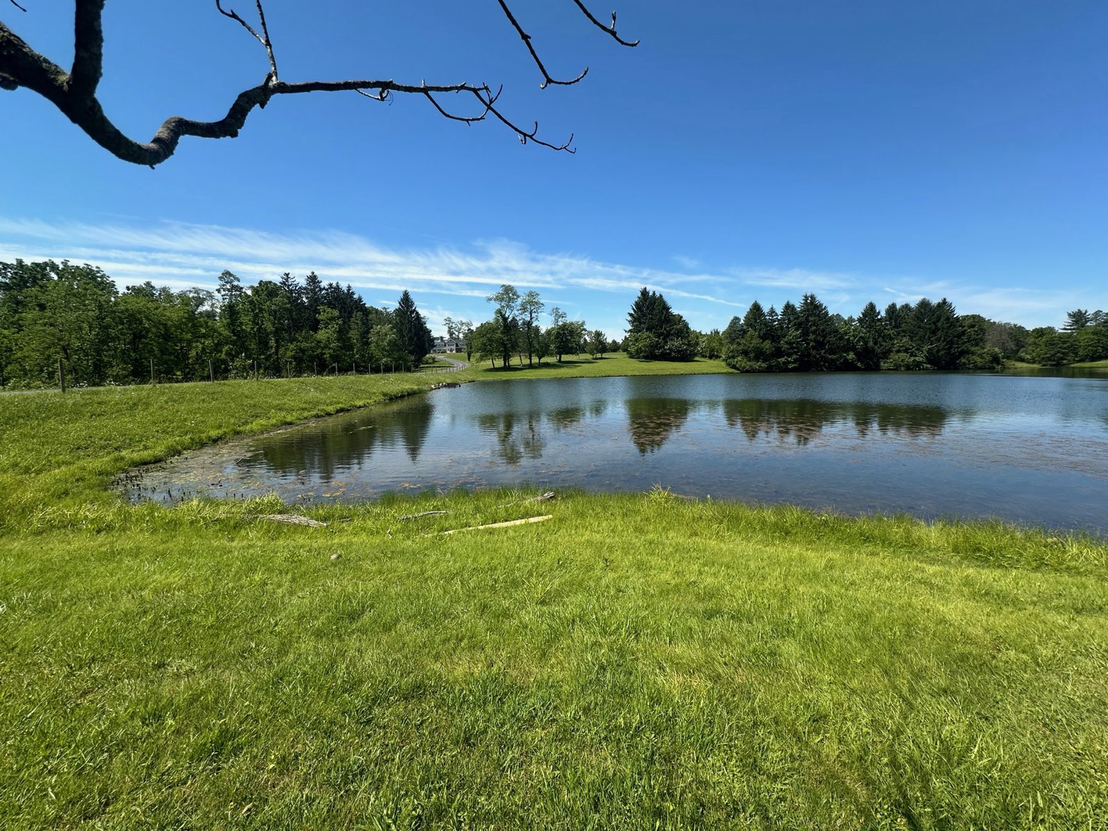A clear farm pond in spring in Central PA