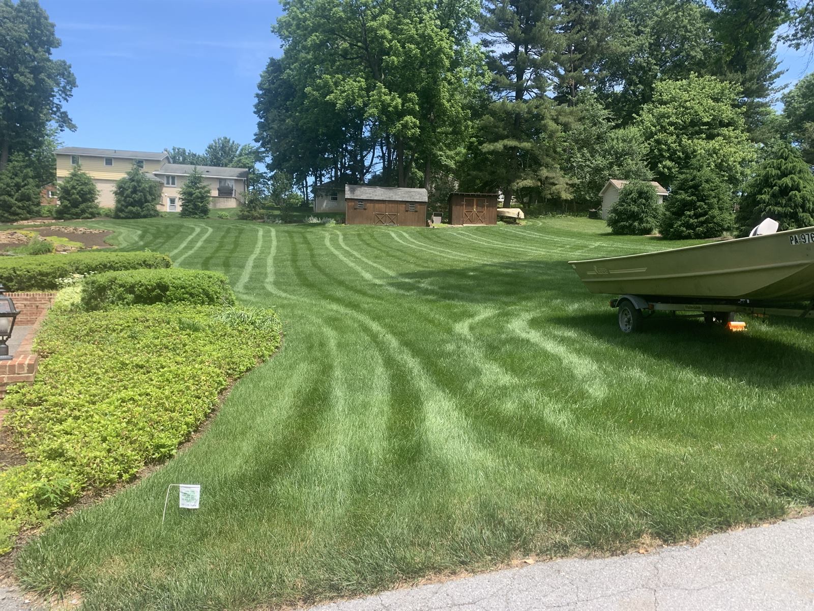 Striped, fertilized residential lawn in a Harrisburg, PA suburb showing deep green color and a healthy turf-type tall fescue stand