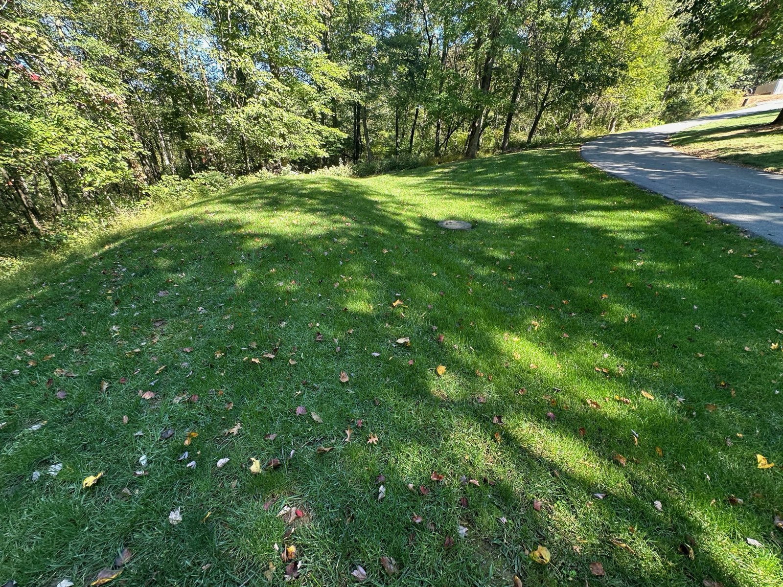 Healthy, dense lawn on a Central PA property