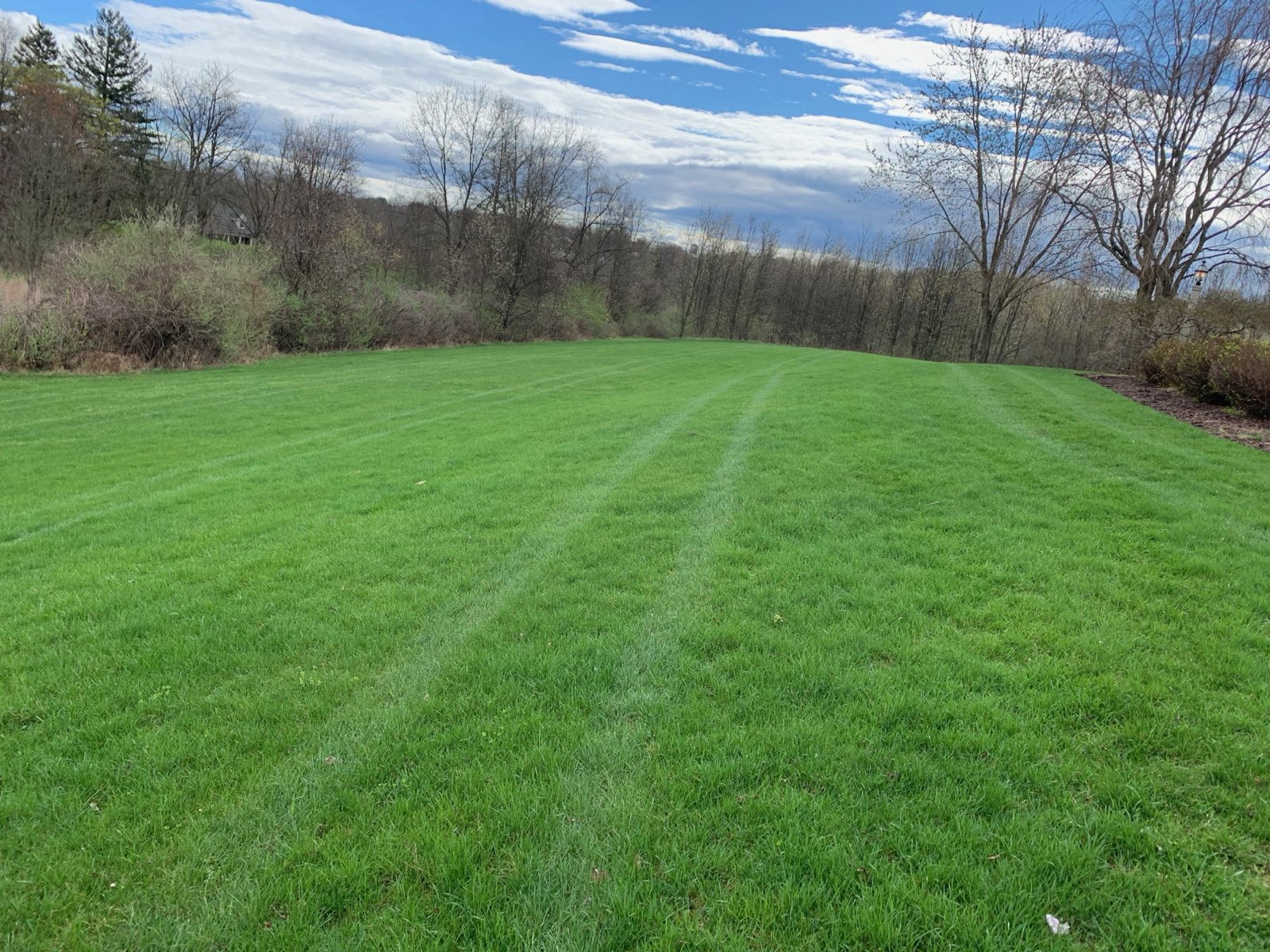 Healthy, dense lawn on a Central PA property