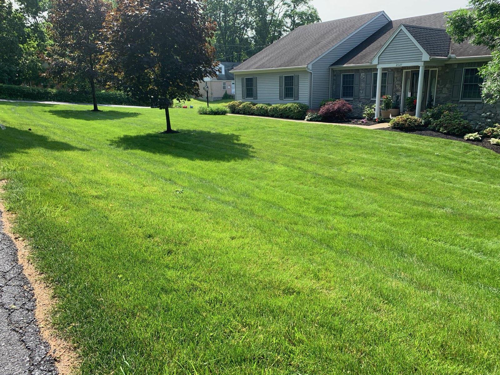 Healthy, dense lawn on a Central PA property