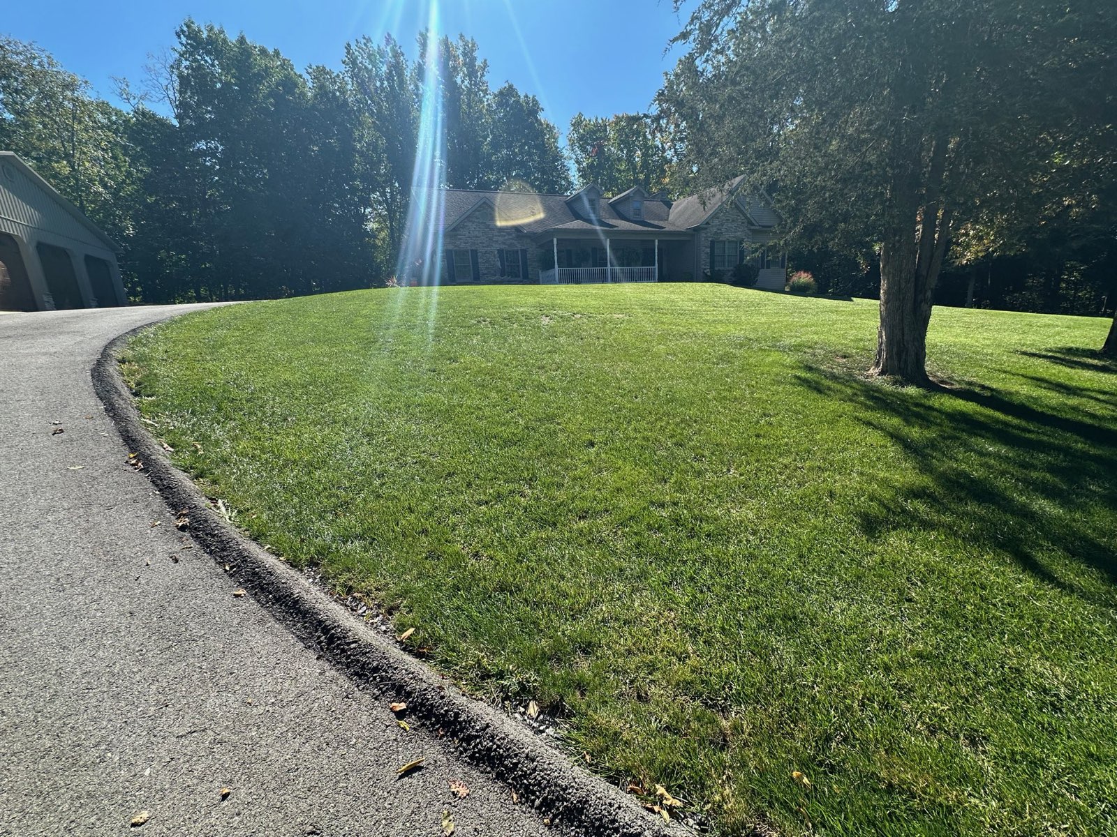 Lush lawn along a curved driveway in Central PA