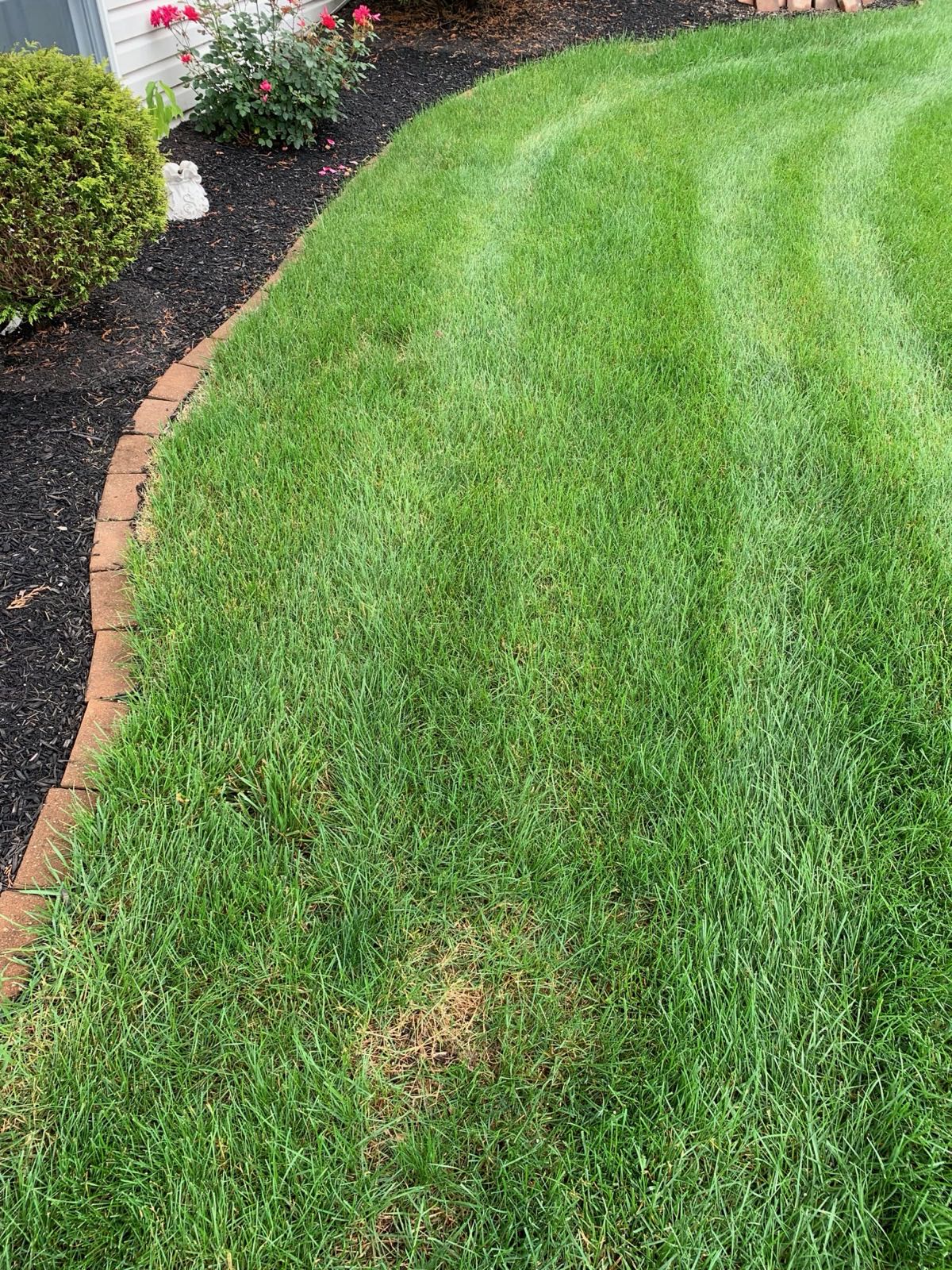 Clean lawn edge along a mulched landscape bed in Central PA