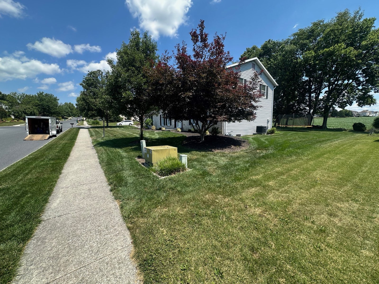 Lawn along a sidewalk in a residential neighborhood in Central PA