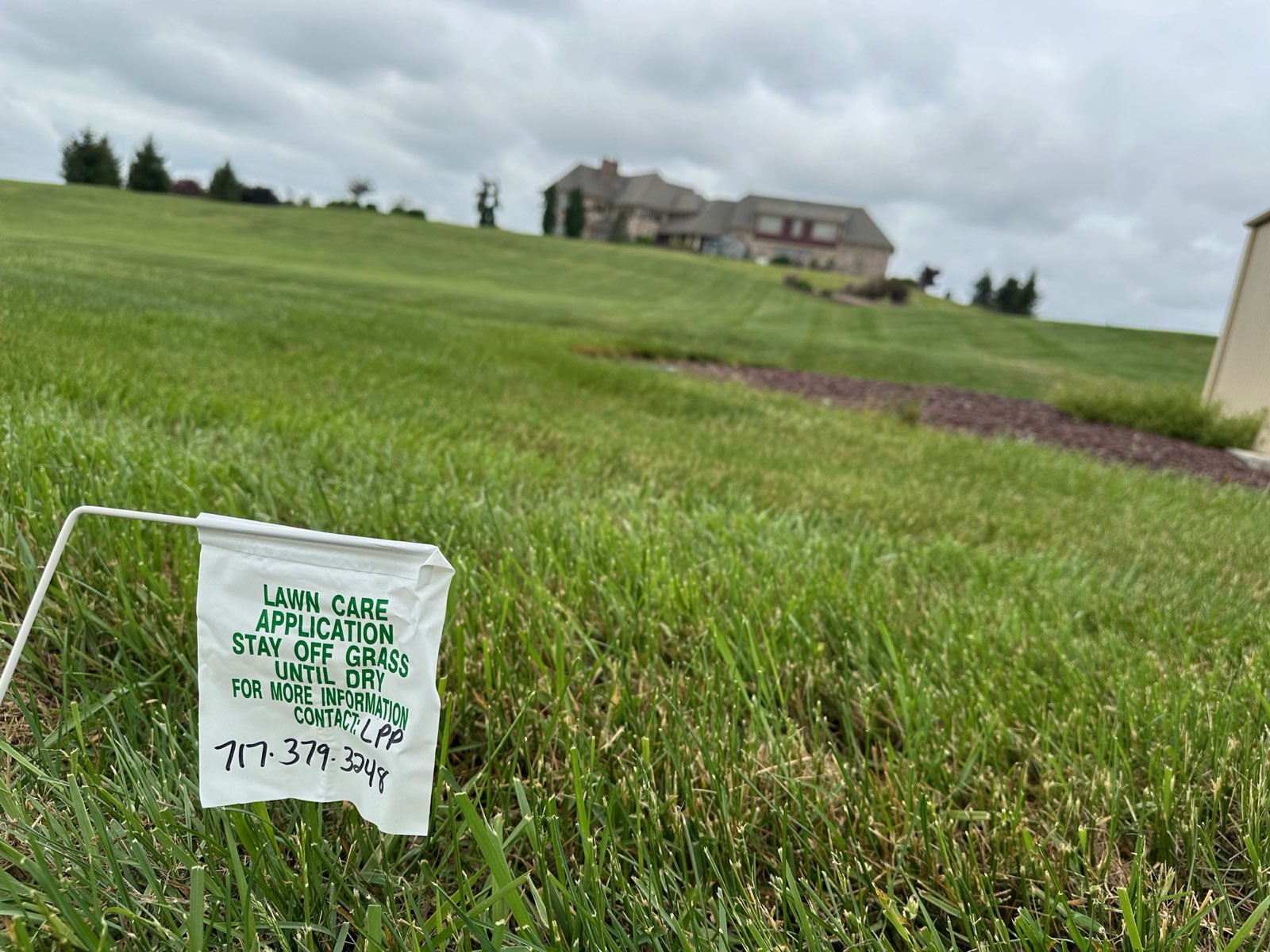 A lawn application flag posted after a treatment in Central PA