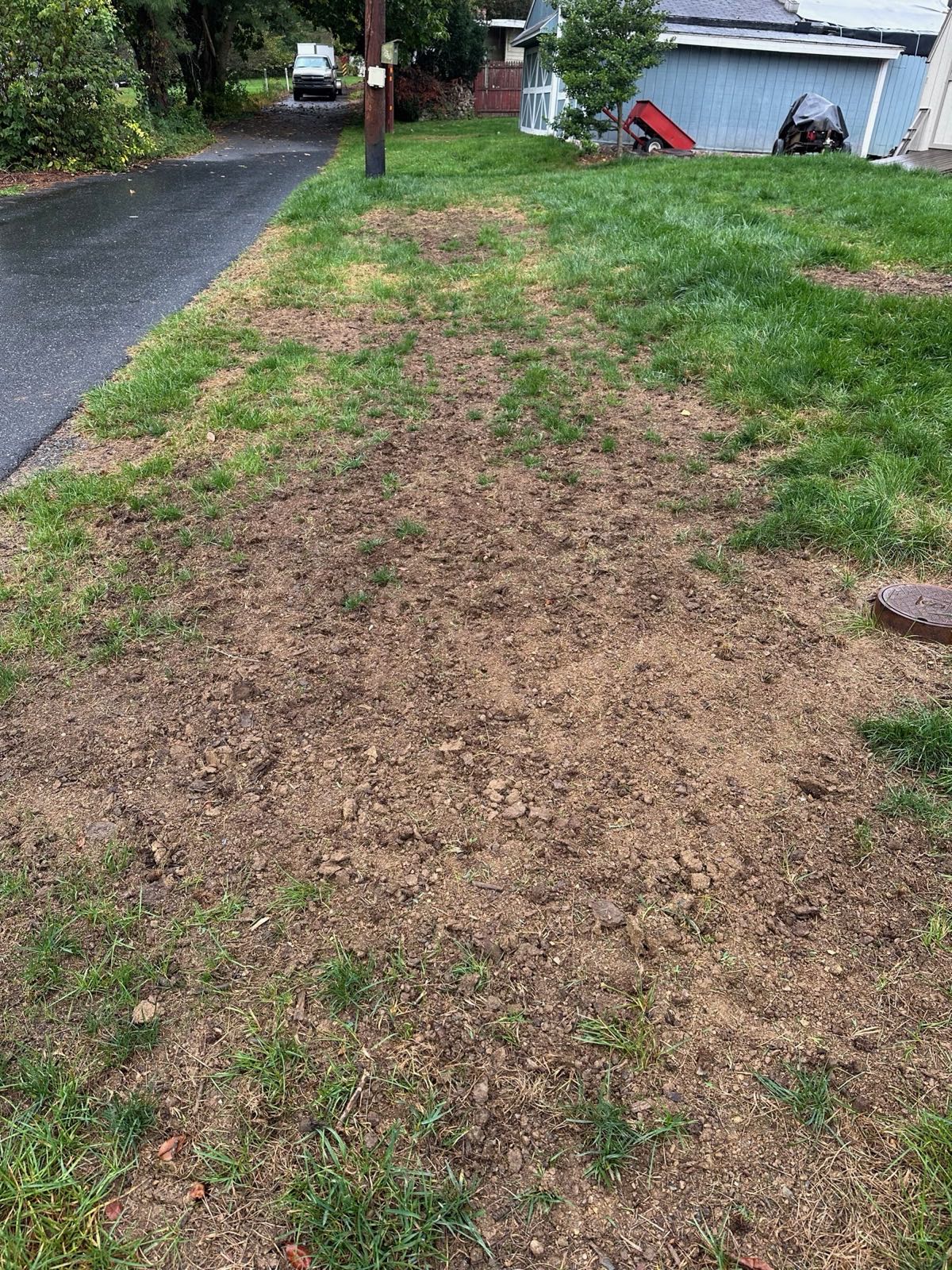A worn lawn strip prepped and seeded during a renovation in Central PA