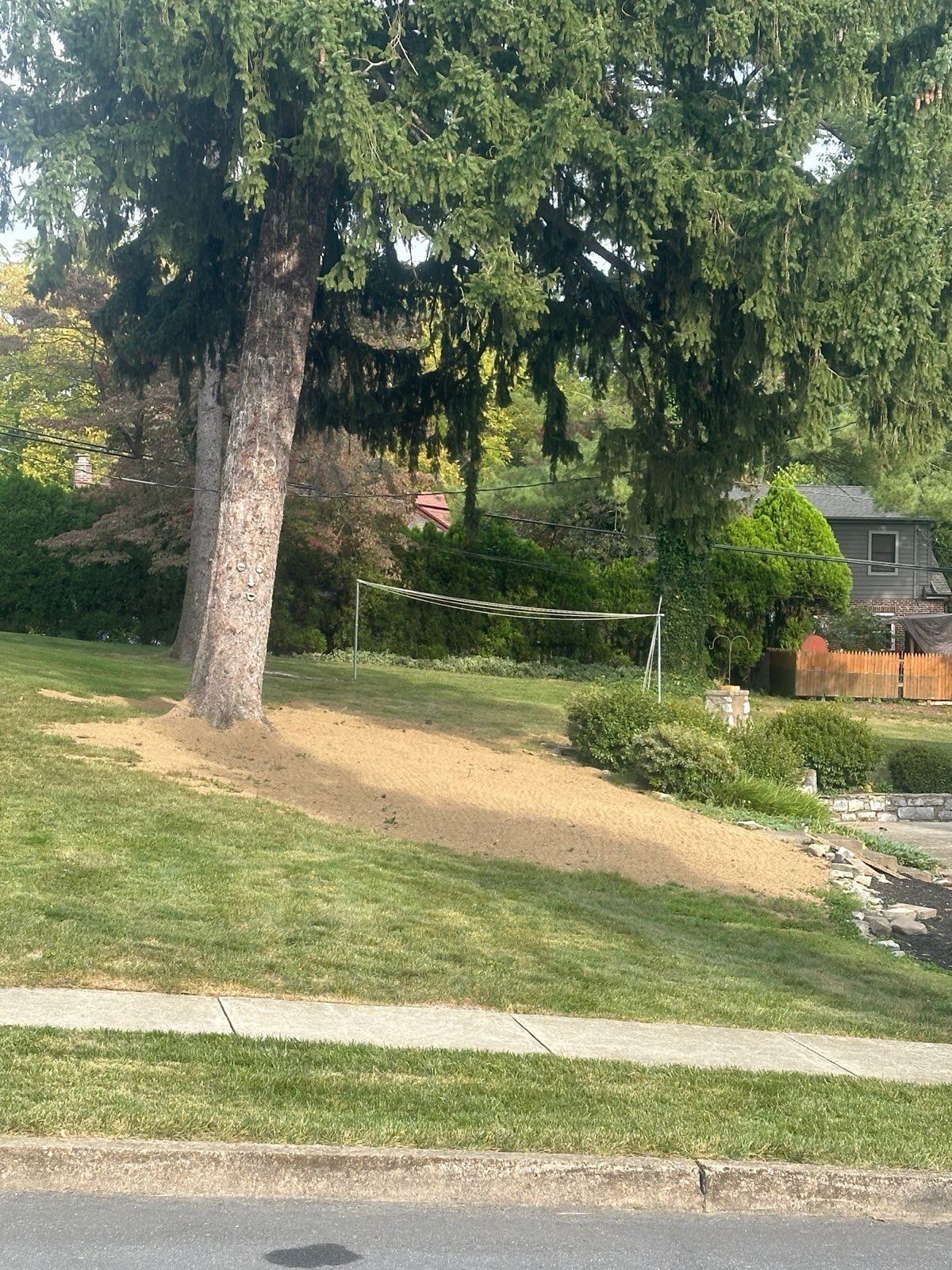 A seeded area covered with straw while new grass establishes in Central PA