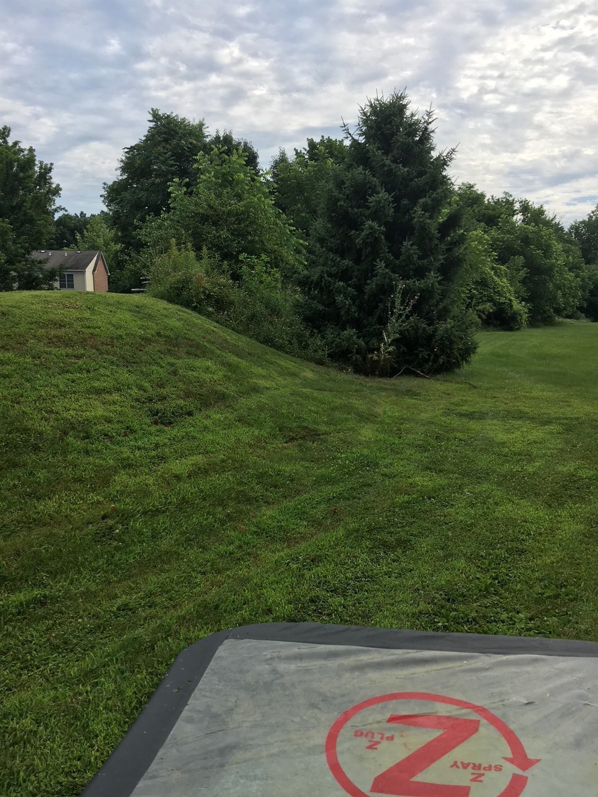 Established suburban lawn with mature trees on a sloped Central PA property where mosquito barrier treatment focuses on shaded edge zones