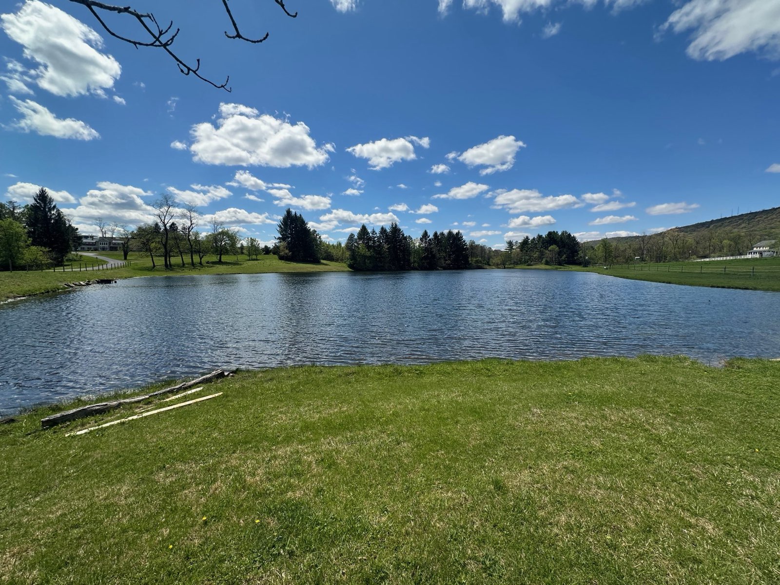 A pond surrounded by open turf in Central PA
