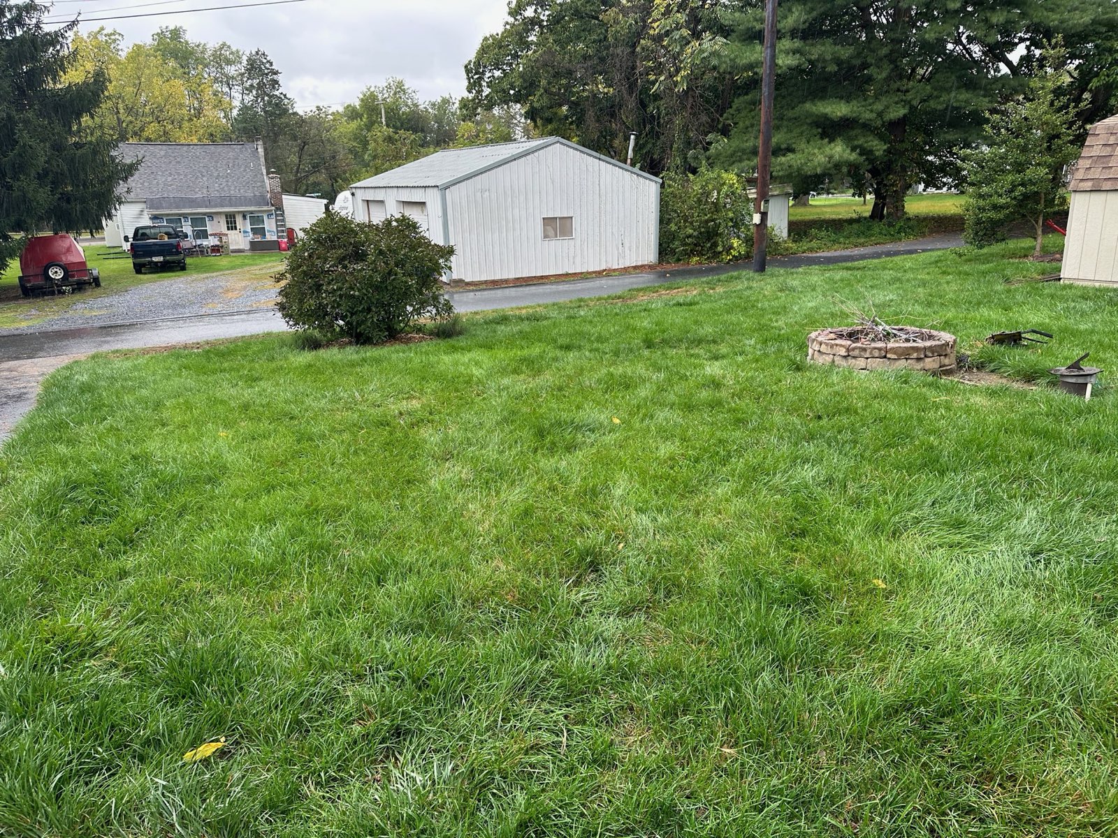 A renovated lawn after the new seed has filled in in Central PA