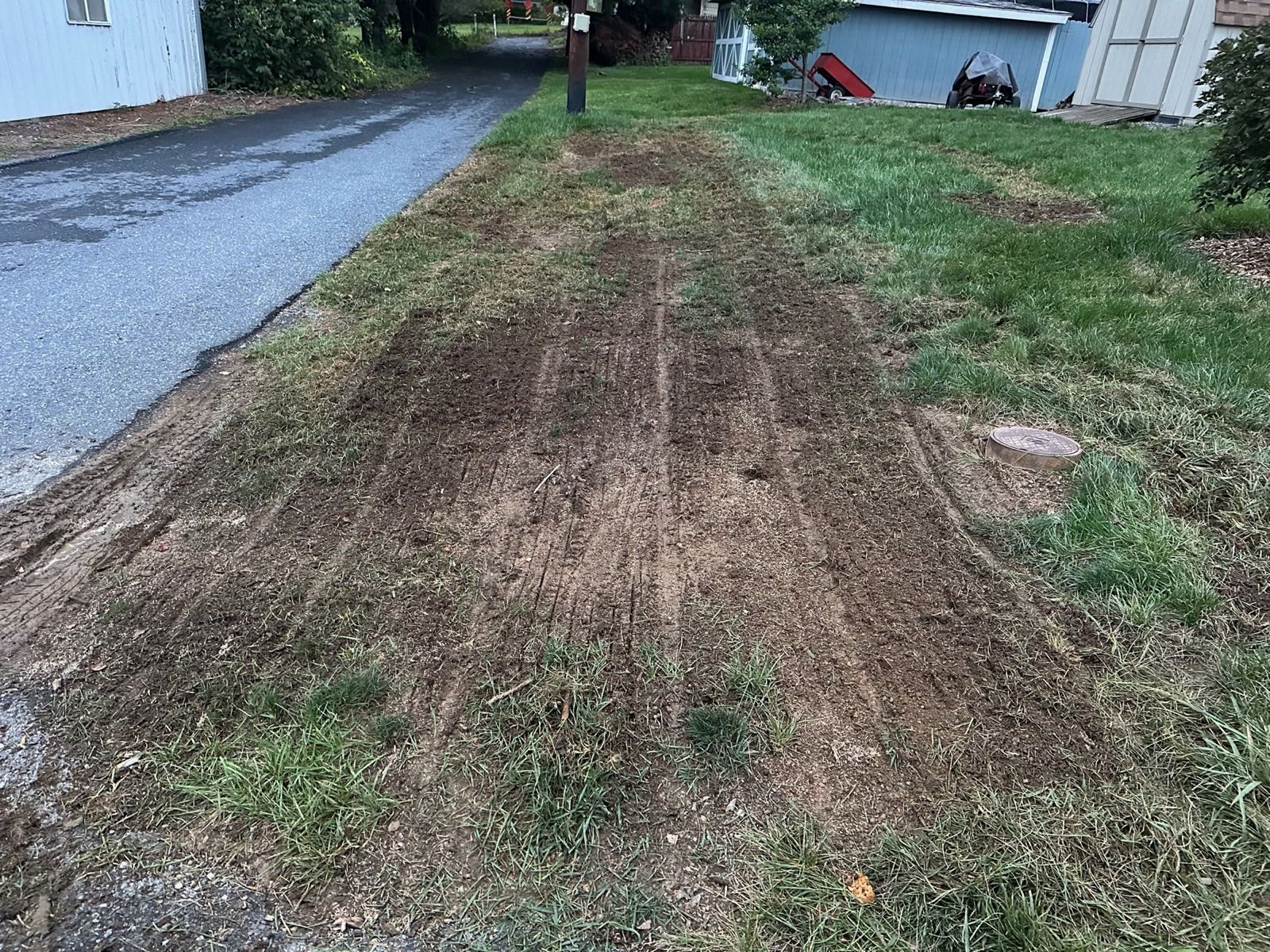 Slit-seeded rows along a driveway during fall overseeding in Central PA