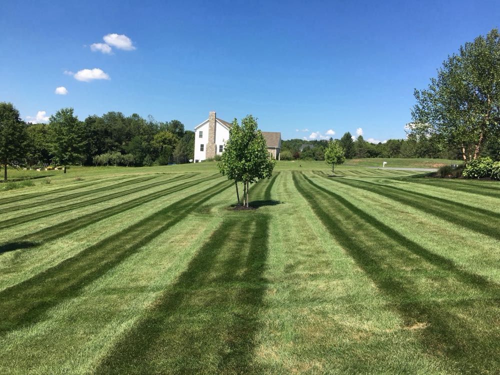 Thick, evenly striped turf on a Central PA property