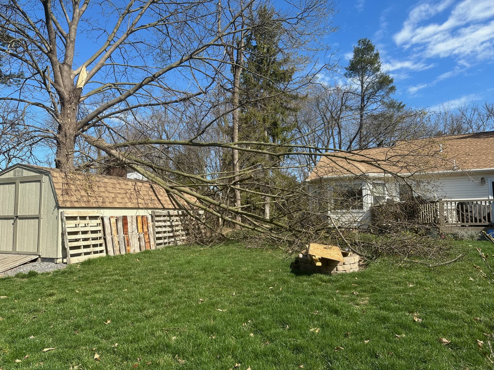 A tree brought down by a storm in a backyard in Central PA